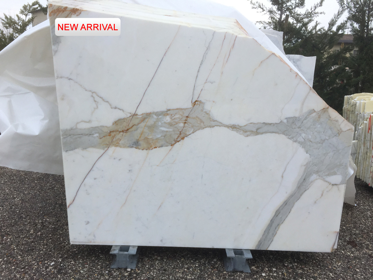 Calacatta Extra CMWA68336
