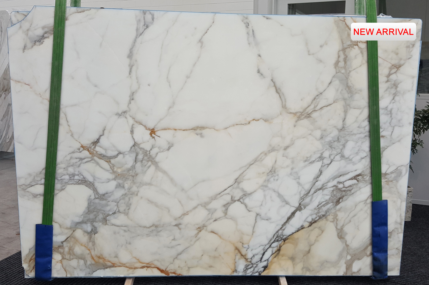 Calacatta Paonazzo CMG942