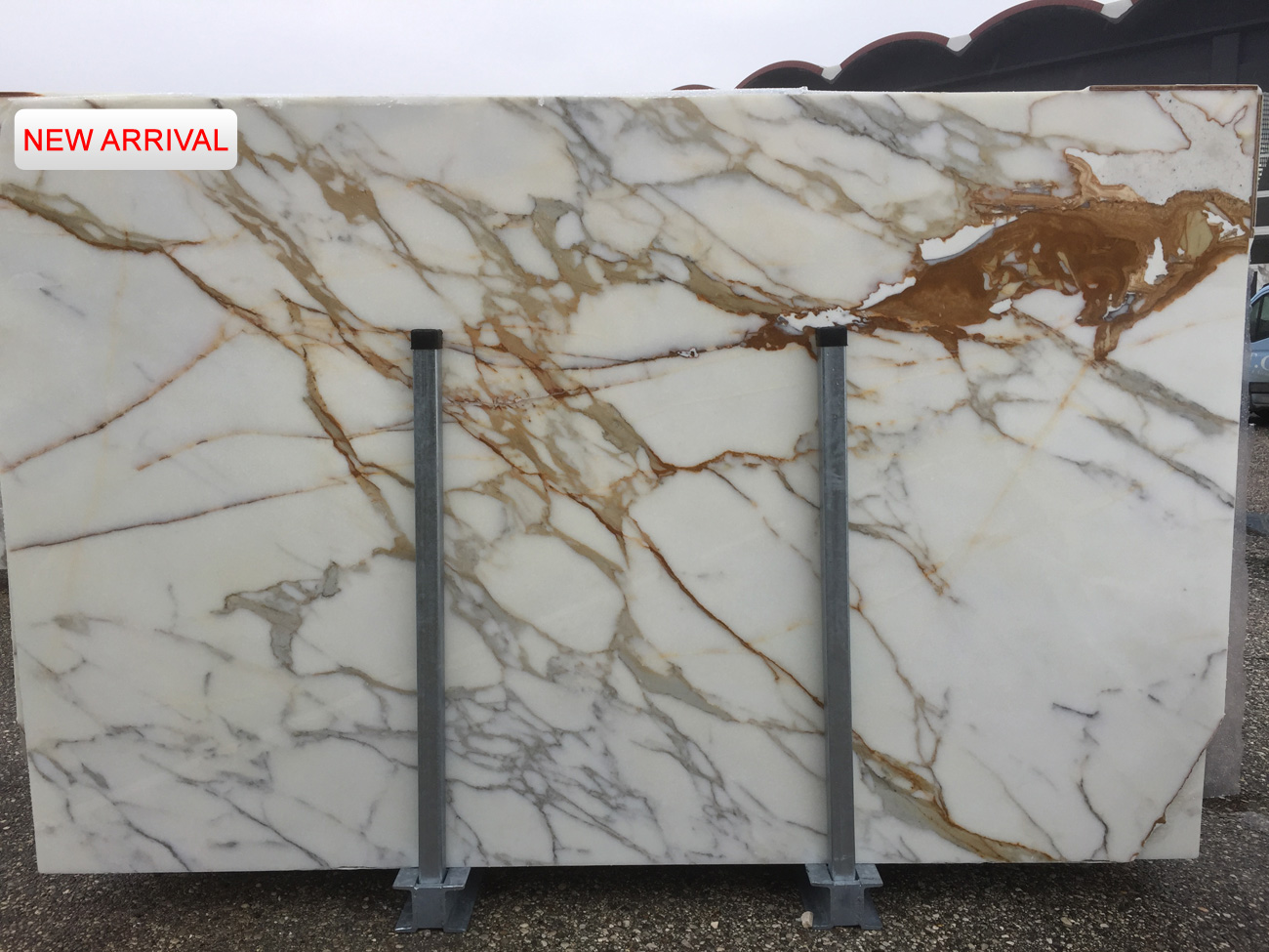 Calacatta Gold CMW8319